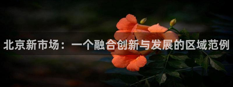 星欧娱乐公司电话号码