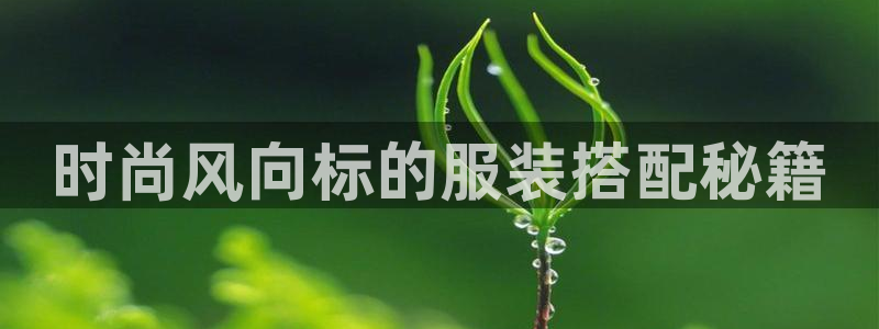 星欧娱乐招商