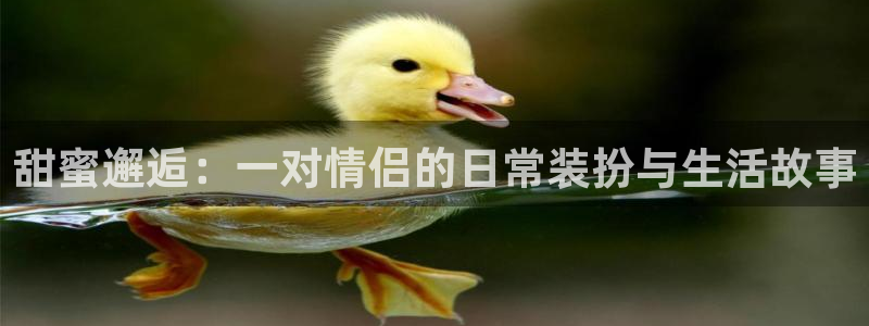 星欧娱乐招商