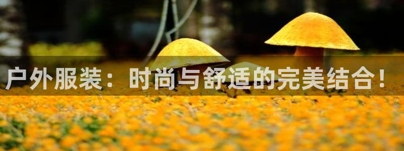 星欧娱乐还能玩吗
