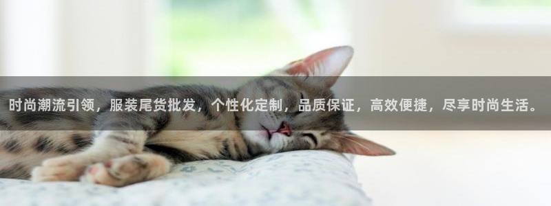 欧联杯正赛星辉娱乐