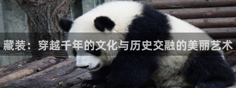星欧娱乐最建议买吗