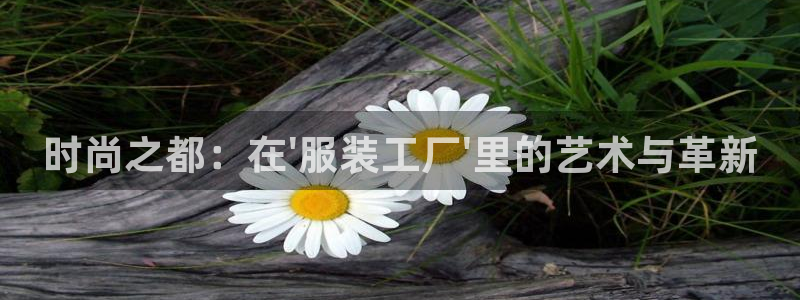欧星娱乐网站