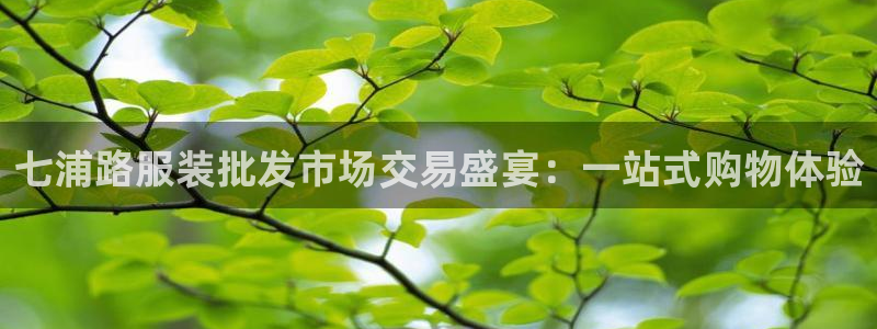 星欧娱乐app下载安装