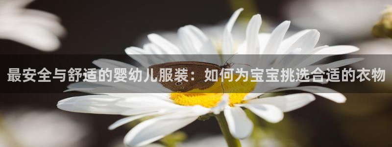 星欧娱乐改名后叫什么