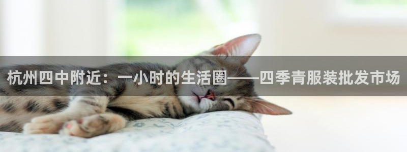 星欧娱乐最新版下载链接