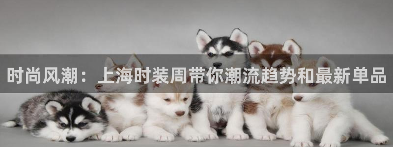 欧星娱乐的盘口