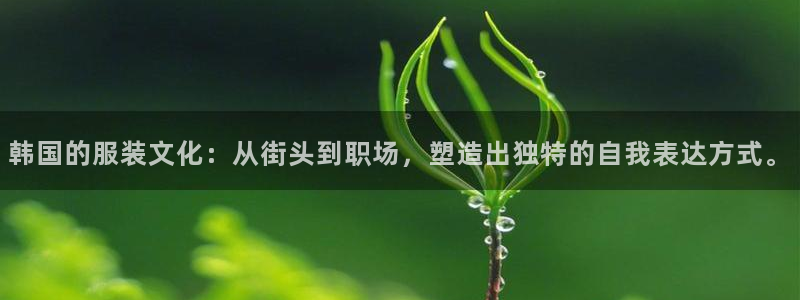 星欧娱乐倒闭了吗