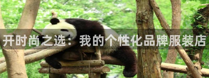 欧星娱乐最新地址