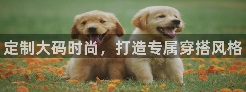 娱乐星天地马思纯欧豪