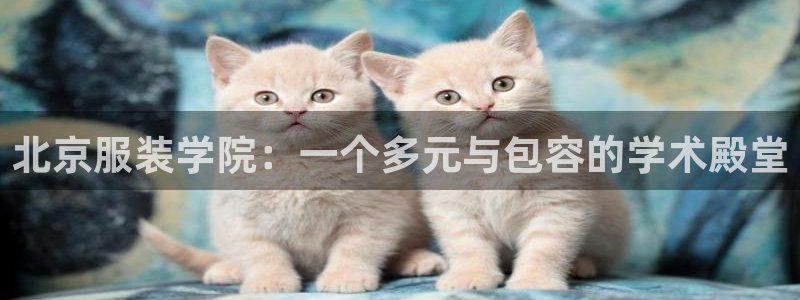 星欧娱乐平台主管