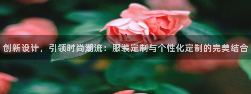 星欧娱乐平台主管