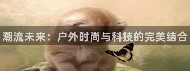 星欧娱乐代理