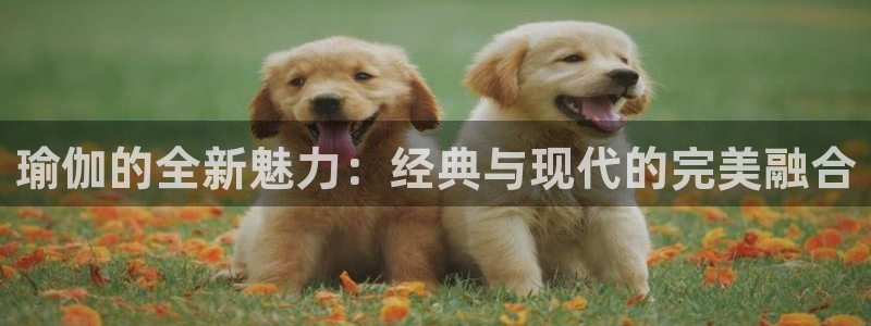 欧星娱乐的盘口