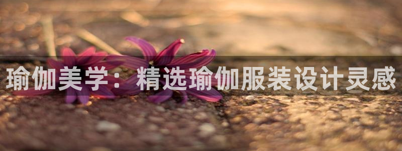 星欧娱乐客服电话