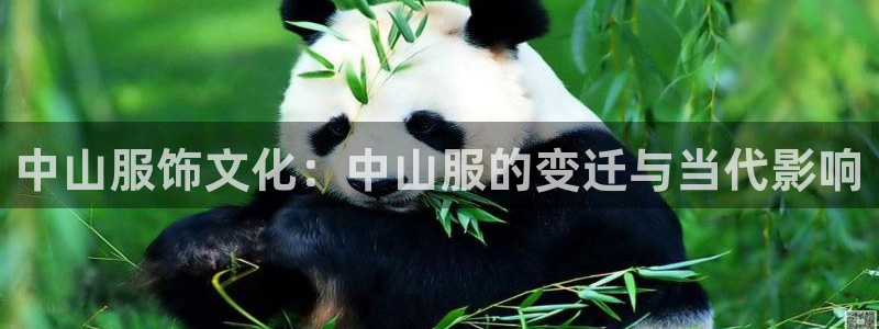 星欧娱乐最新活动