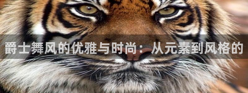 艾欧尼亚三星娱乐赛