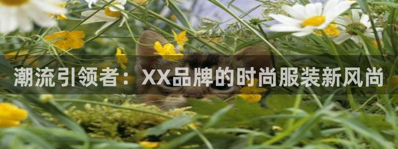 欧赫娱乐 超级星学院