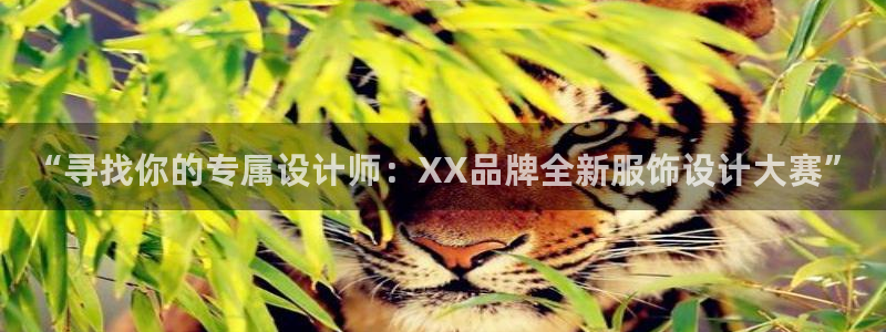 欧星科技娱乐公司