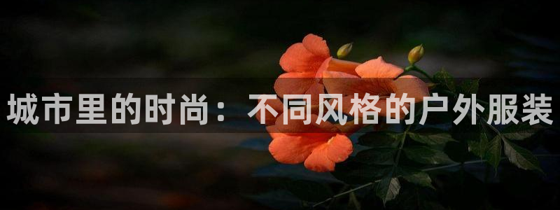 欧星娱乐国际平台