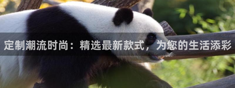 星欧娱乐彩票软件下载