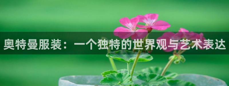 星欧娱乐注册资金多少