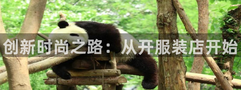 星欧娱乐登录入口