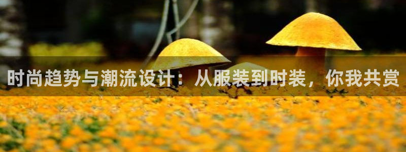 星欧娱乐平台注册入口