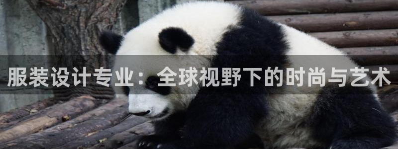 星欧娱乐平台注册入口