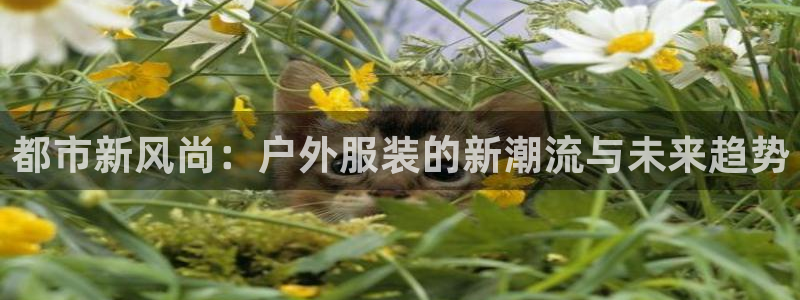 星欧娱乐app注册