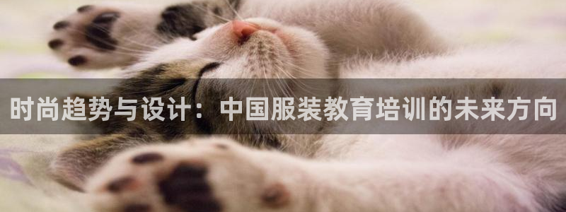 欧星娱乐彩票去