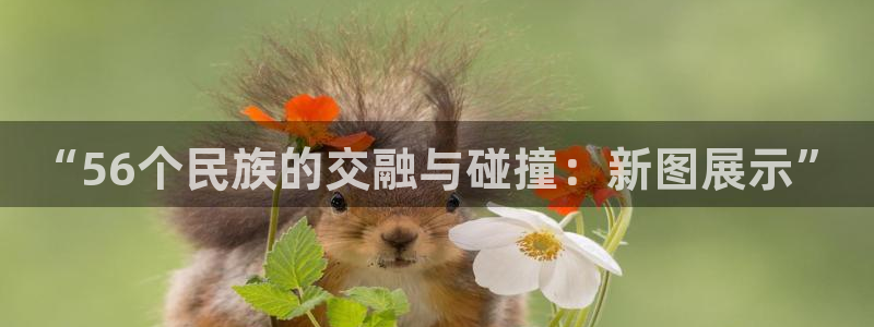 欧米星创文化娱乐