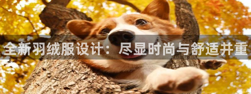 星欧娱乐掌7O777