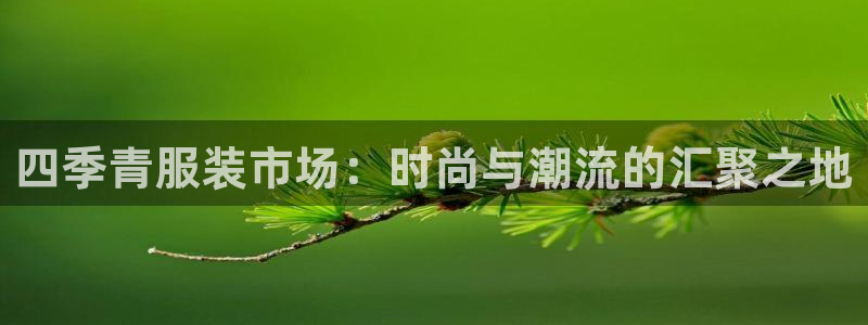 星欧娱乐最新消息