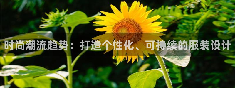 星欧娱乐平台注册入口