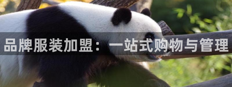 星欧娱乐扣费详情详解