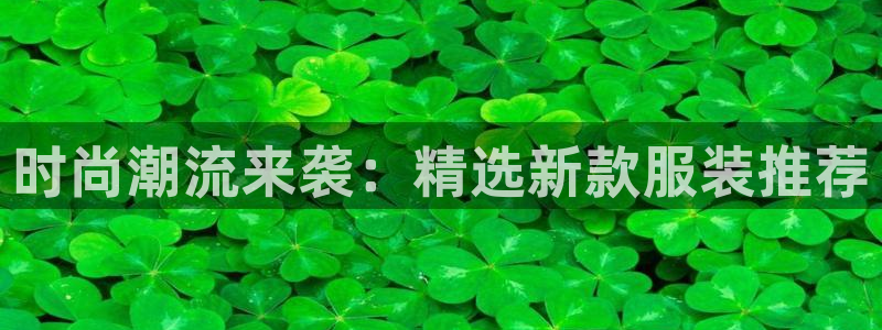 星欧娱乐负责人