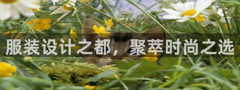 星欧娱乐app登录入口