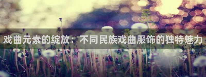 星欧娱乐注册：戏曲元素的绽放：不同民族戏