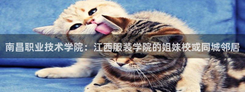 星欧娱乐606251