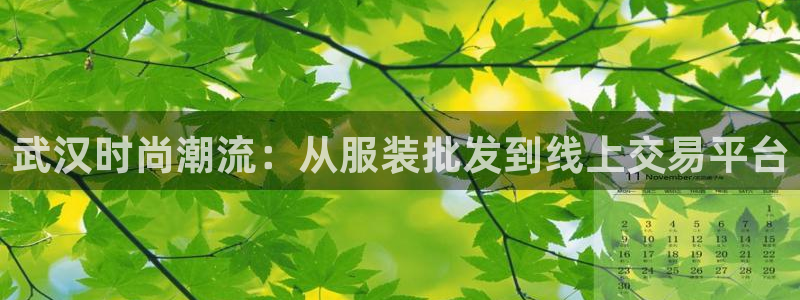 欧星娱乐棋牌怎么样：武汉时尚潮流：从服装