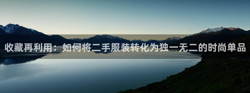 欧星娱乐的真实性：收藏再利用：如何将二手
