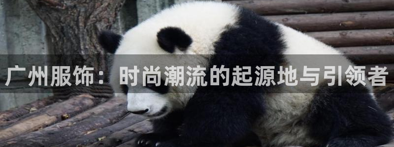 星欧娱乐公司