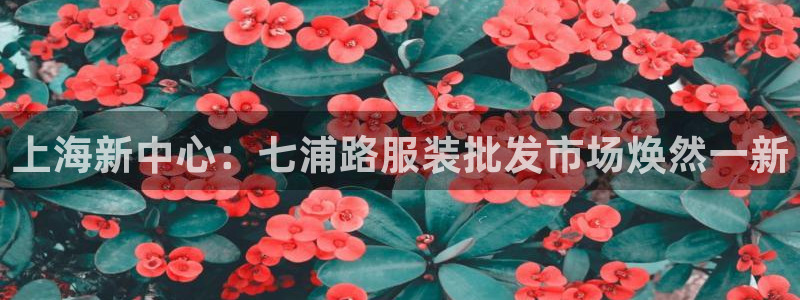 星欧娱乐官网入口手机版